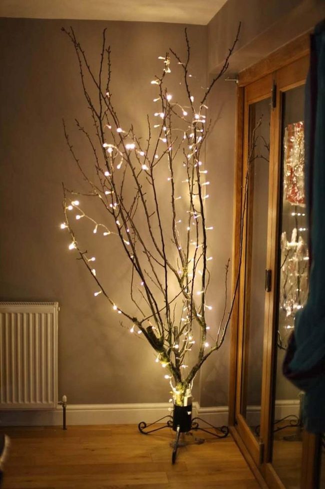 Illuminated Branches, Year-Round Warmth
