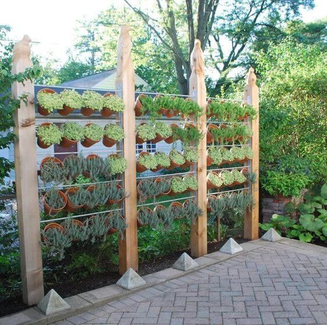 Terracotta Herb Wall Screen