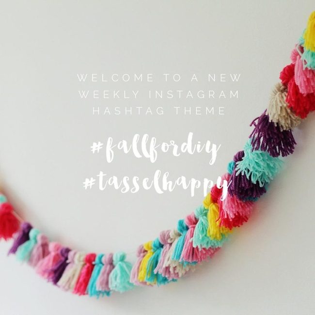 Multicolor Tassel Garland Burst