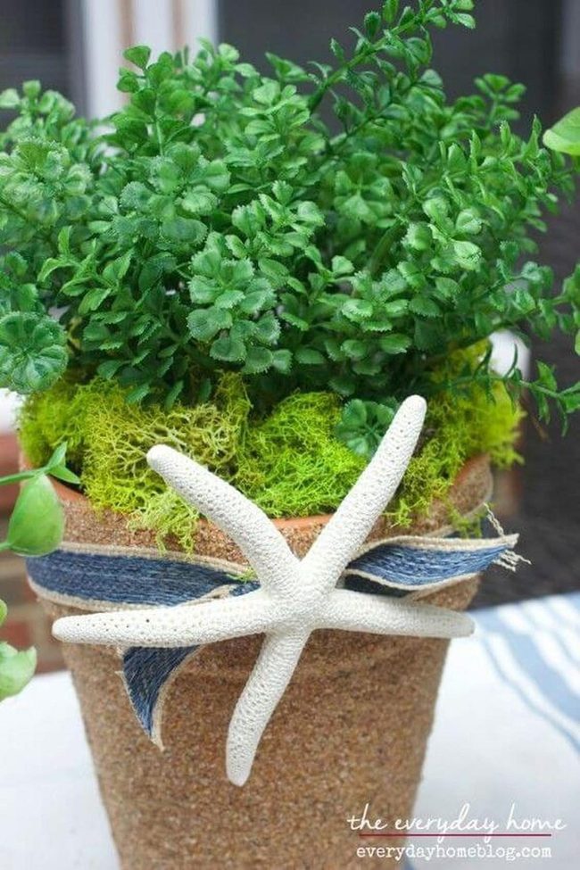 Starfish Clay Pots Seaside