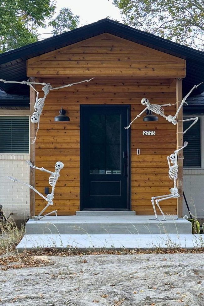 Skeleton Dressed In Sunglasses