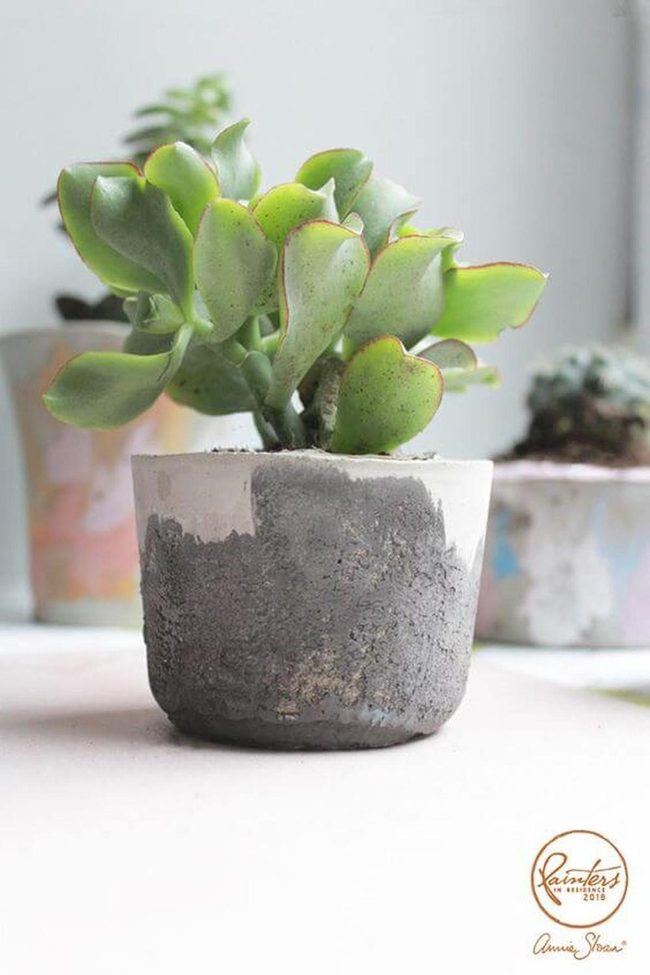 Concrete Pots, Living Textures