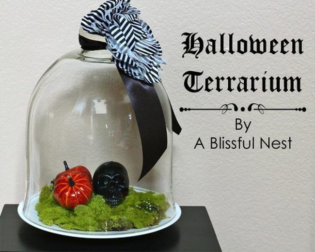Miniature Pumpkins In Glass Domes