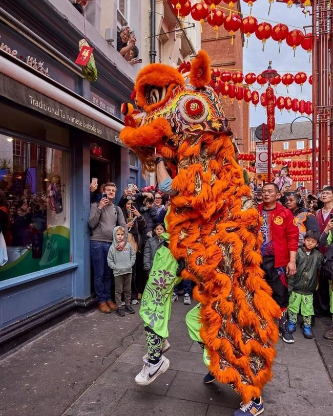 Golden Orange Lion Spirit