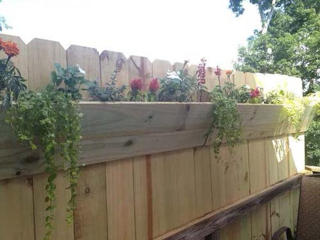Vertical Gutter Garden Walls