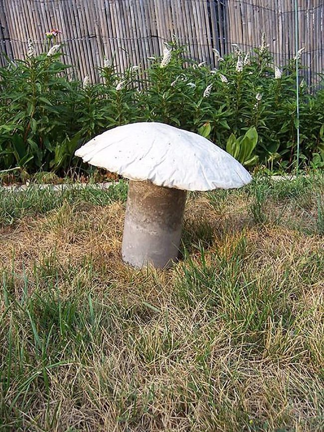 Gray Concrete Mushroom Sculptures