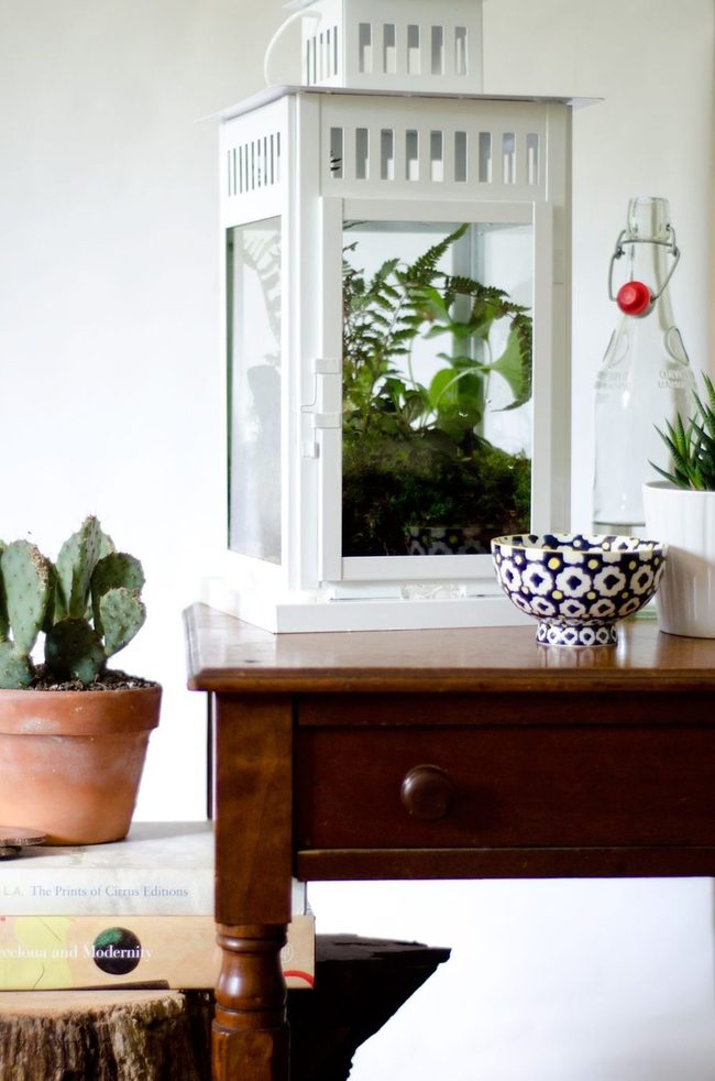 Glass Lantern Living Terrarium