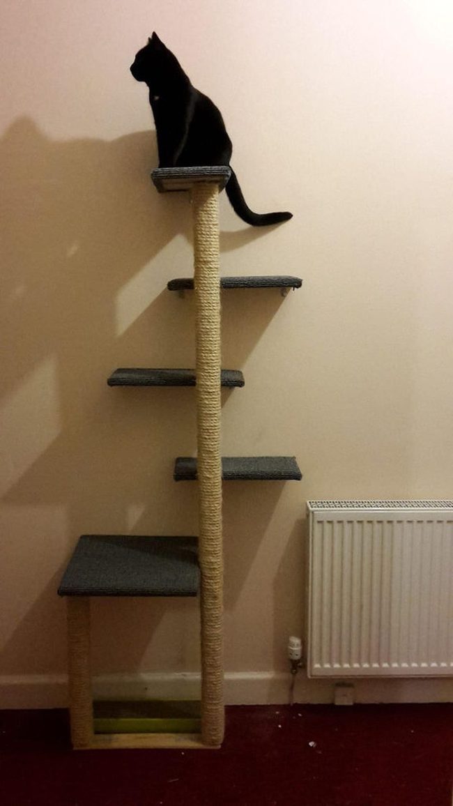 Rope Towers, Red Carpet Kingdom