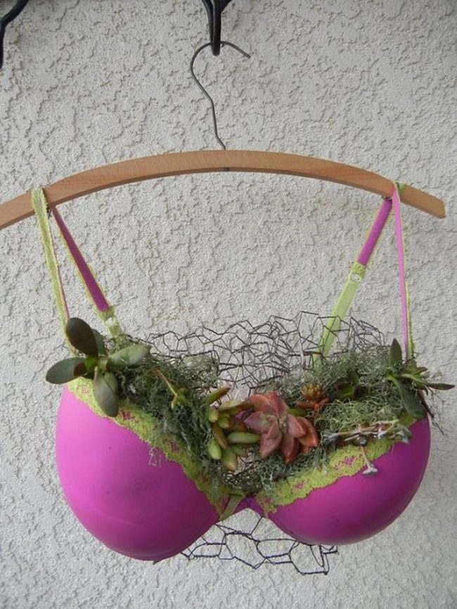 Lingerie Planter Quirk