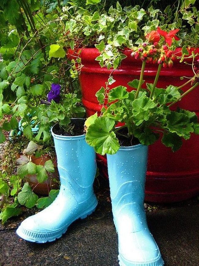 Blue Boots Bursting With Blooms