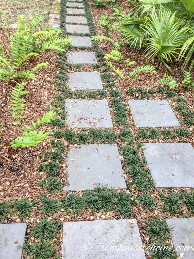 Stone Path Through Living Green