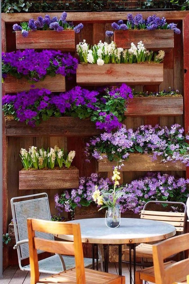 Blooming Vertical Garden Layers