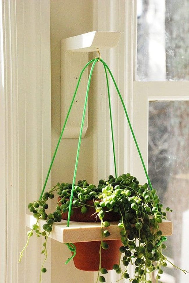 Green Wall Garden Planters