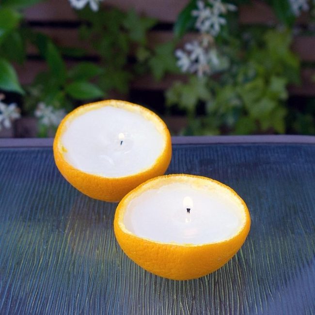Citrus Shell Candlelight