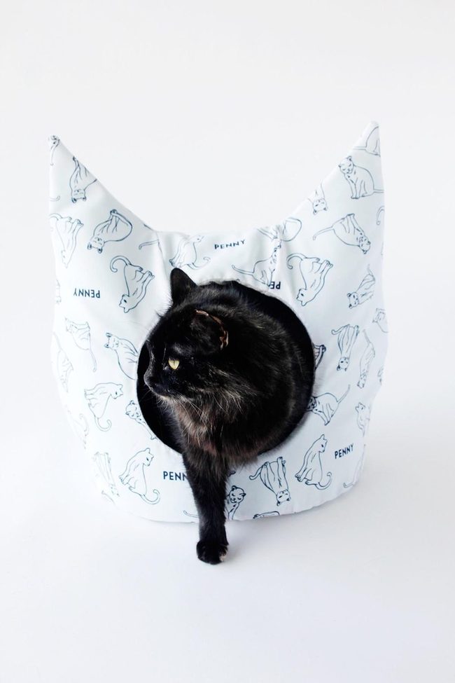 Black Cat Head Bed