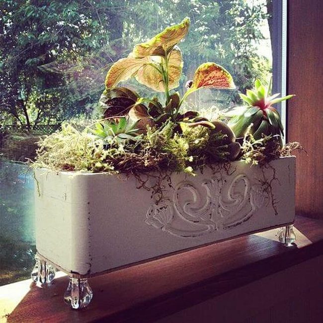 White Planters, Transparent Bases, Green Life