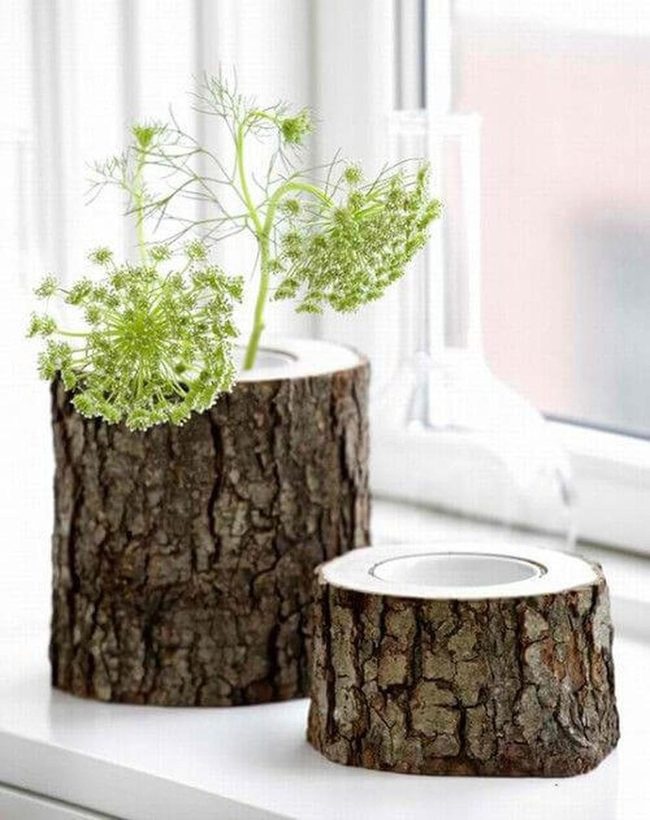 Weathered Wood Stump Display
