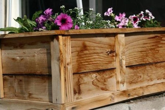 Purple Petals On Natural Wood