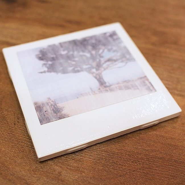 Ceramic Tree Branches White