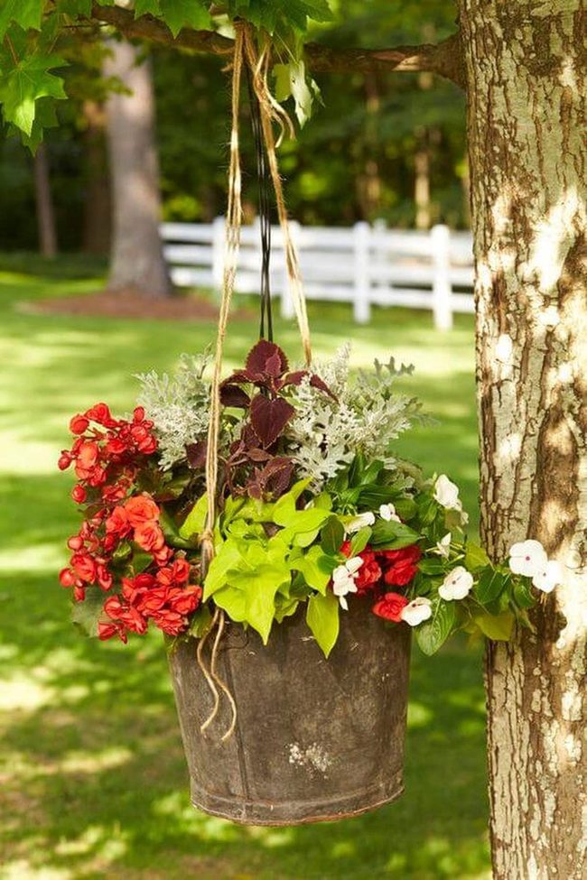 Red Flowers Metal Bucket Garden