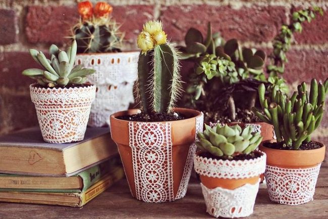 Terracotta Succulents And Lace
