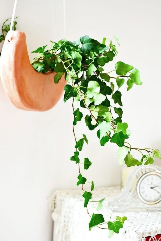 Crescent Moon Ceramic Planters