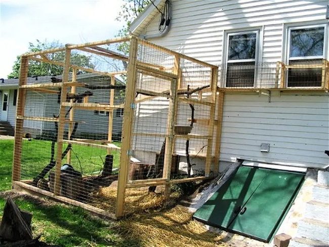Wooden Cat Climbing Spaces