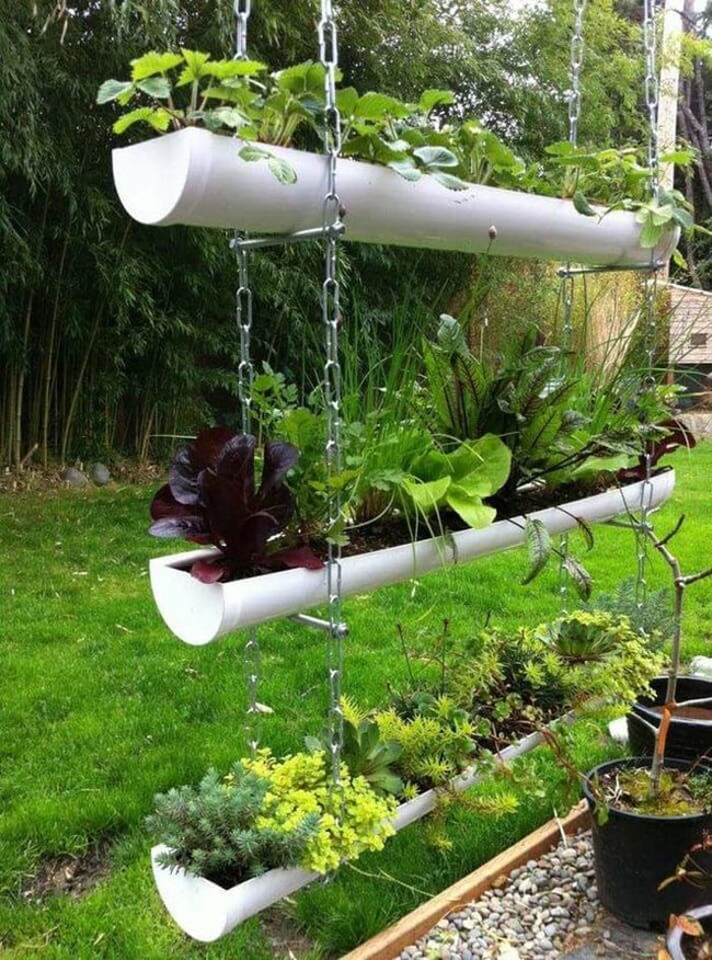 Vertical Pipe Herb Wall