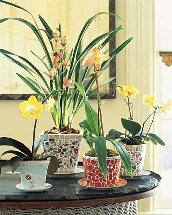 Broken China Garden Pots