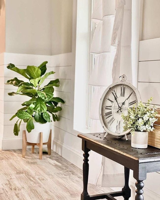 White Shiplap Accent Wall