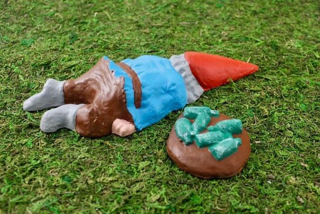 Passed-Out Garden Gnome Party
