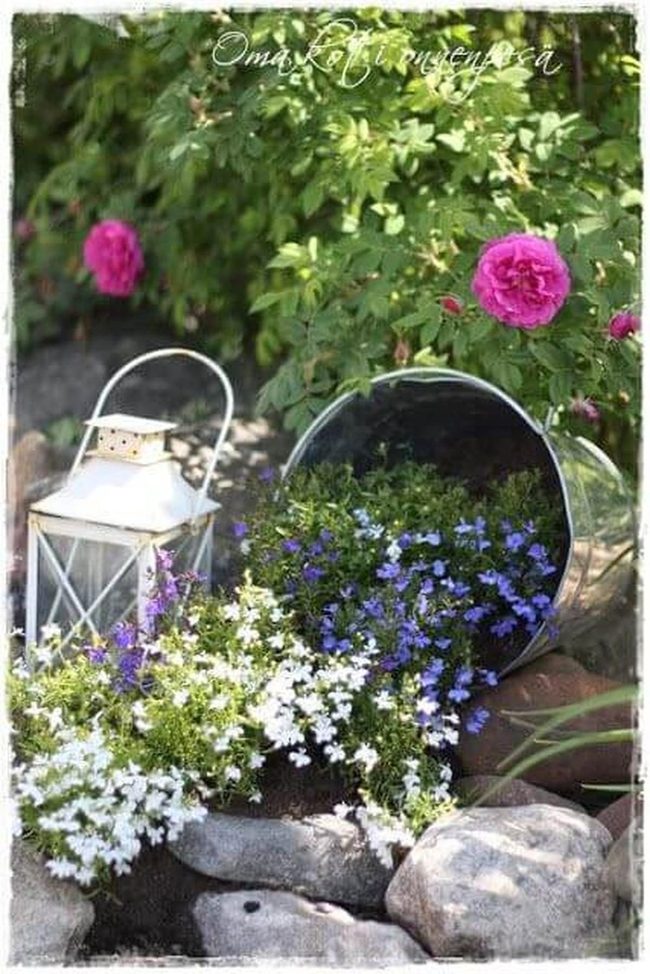 Weathered Bucket, Blue Flowers