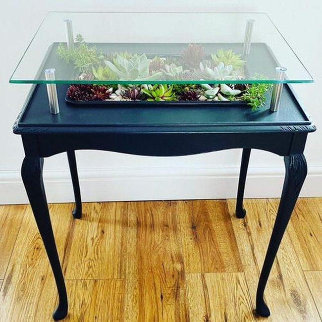 Glass-Topped Living Ecosystems