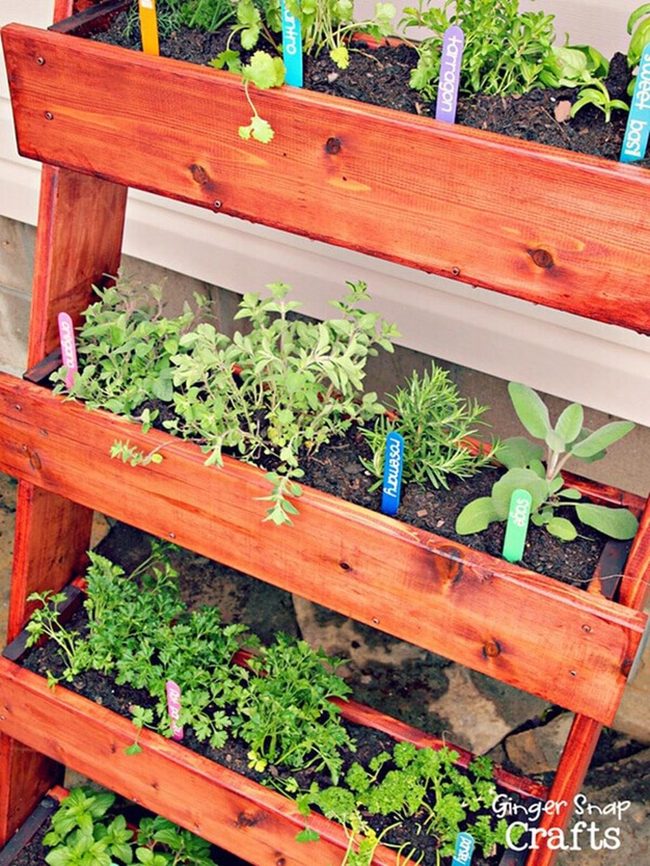 Stained Wood Herb Garden