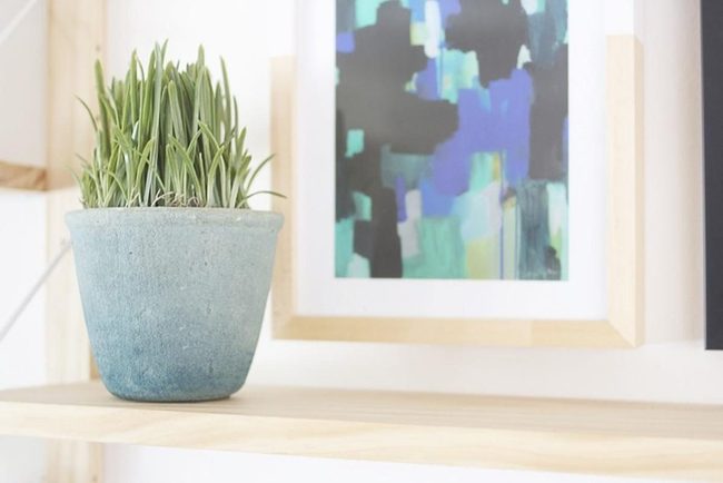 Minimal Art With Living Green
