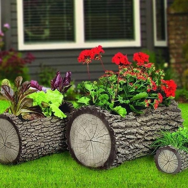 Red Blooms In Log Planters
