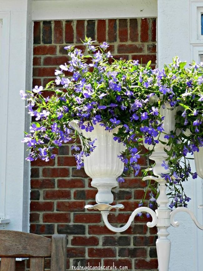Purple Cascades In White Urns