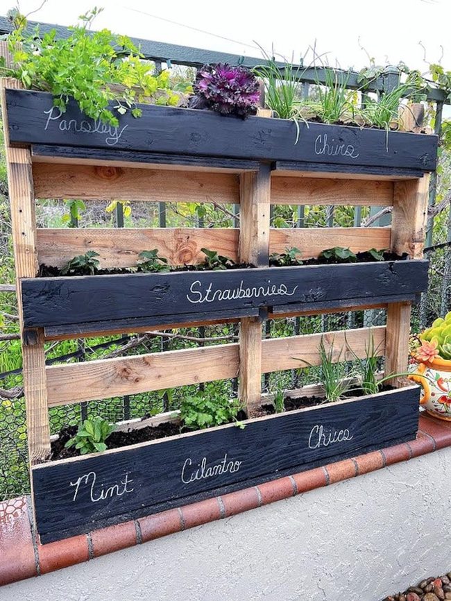 Black Wood Herb Garden Box