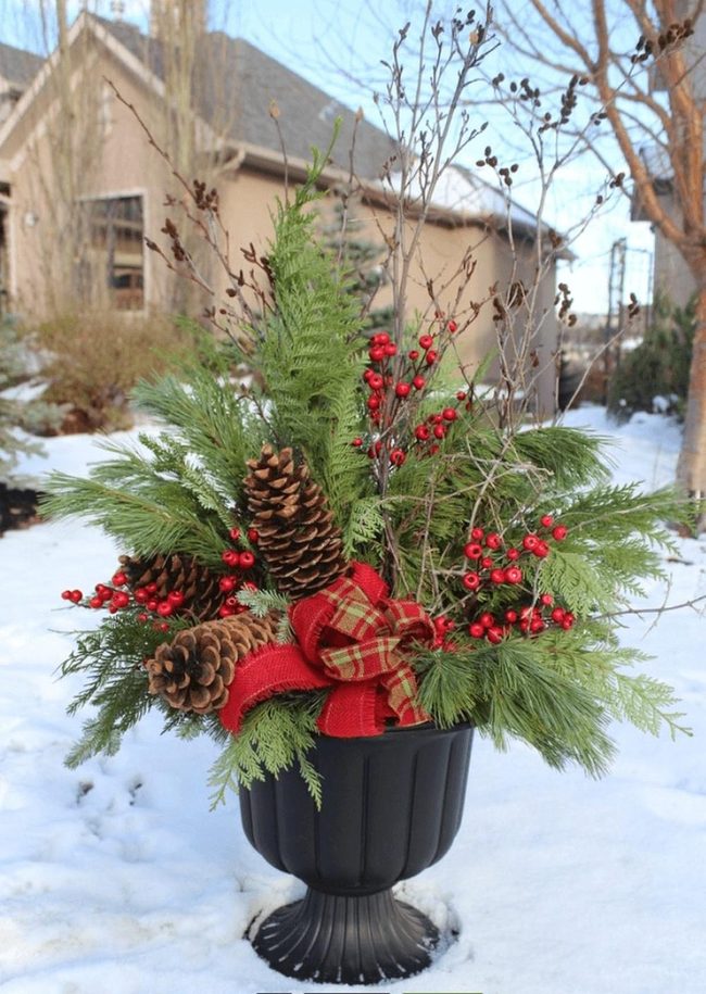 Red Berries, Evergreen Branches, Festive Joy