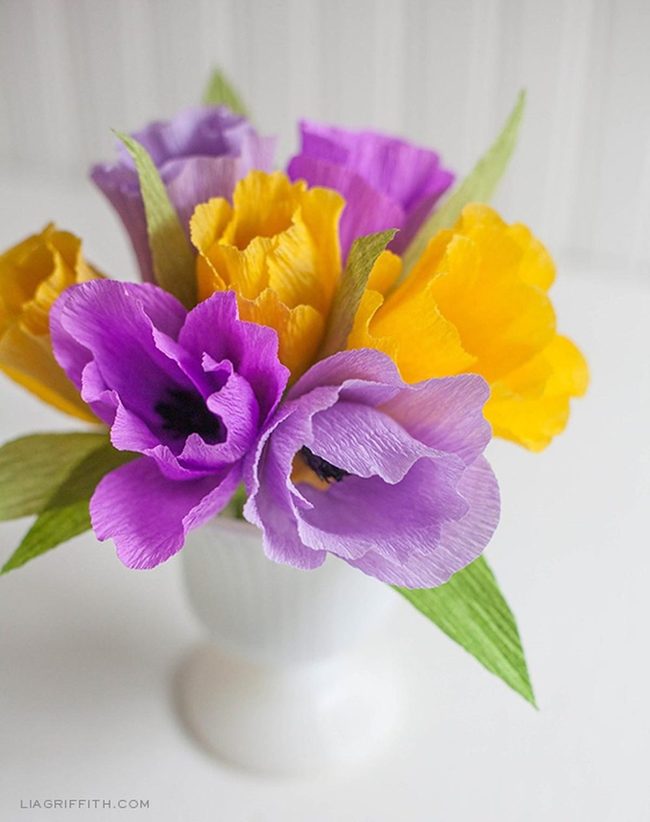 Yellow Purple Blooms In White