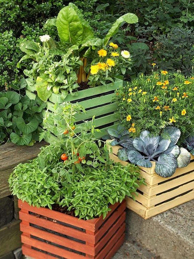 Painted Wood Crate Gardens