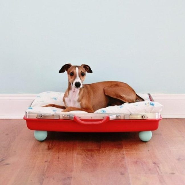 Red Suitcase Dog Bed