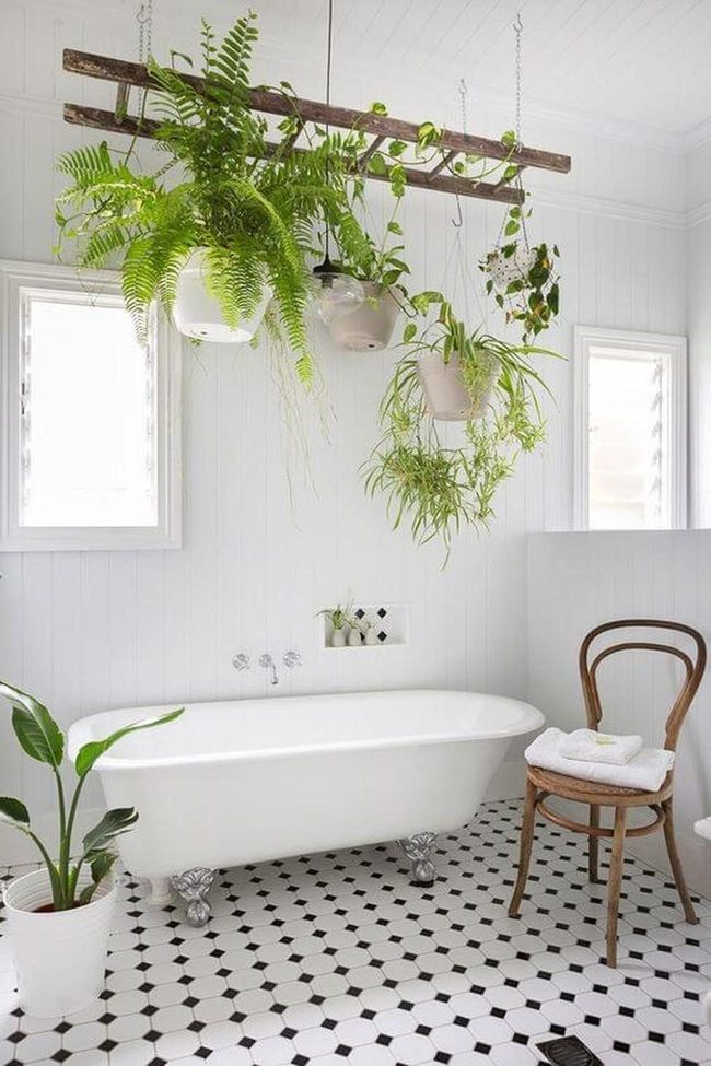 Hanging Ferns, Black Checkerboard Floors