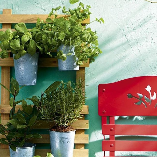 Red Chair Among Hanging Greens