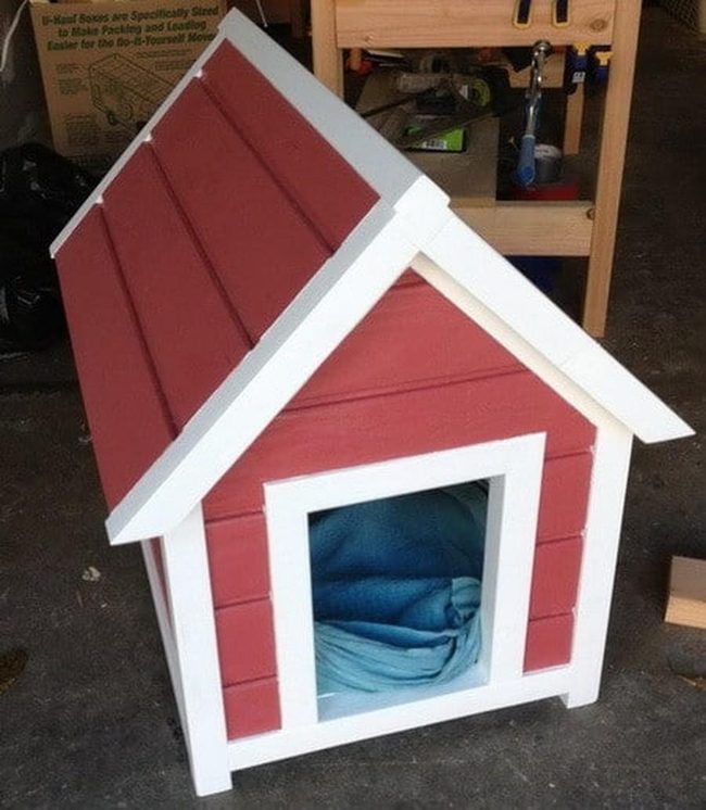 Red Roof Pet Shelter