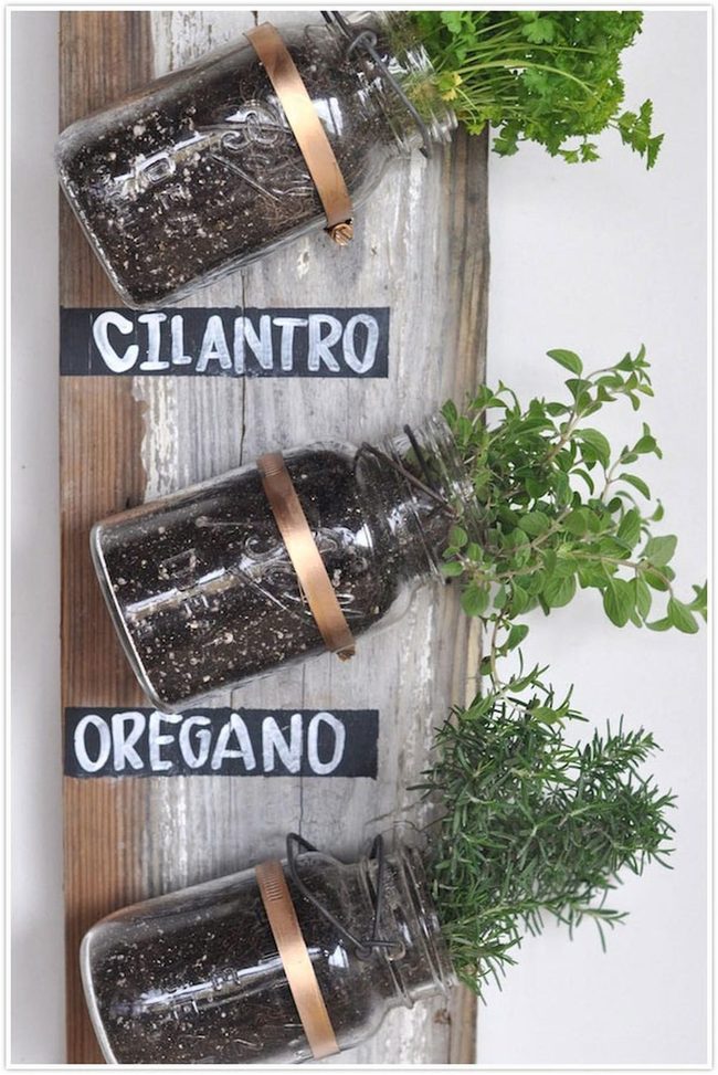 Green Herbs In Glass Jars