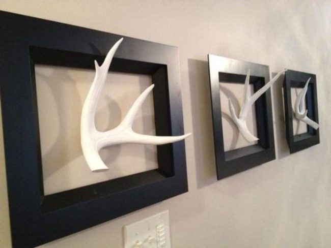 Black Frames White Antlers