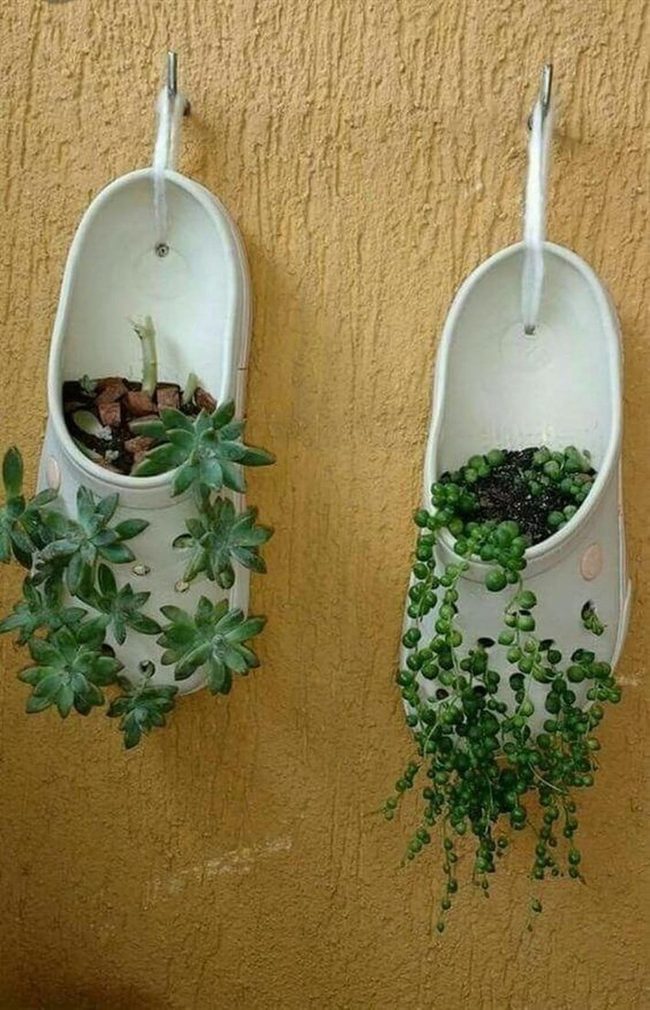 Colorful Clogs Growing Gardens