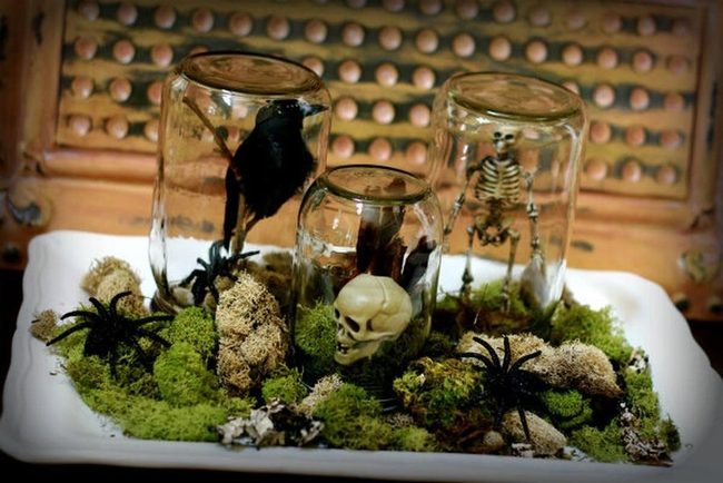 Skeletal Glass Jars Nature