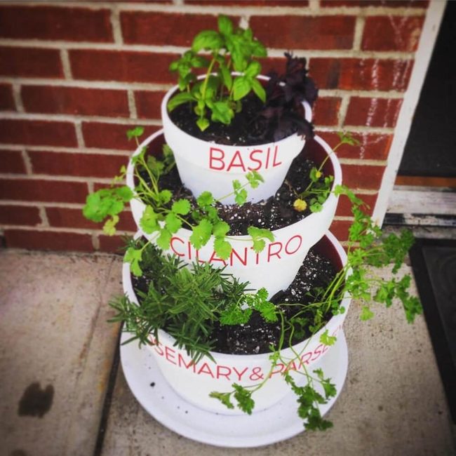 Fresh Herb Tower, White Pots